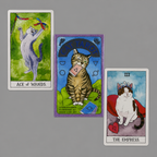 Cute Cat Tarot Cards Deck Oracle English Visions Divination Edition Board Playing Games for Beginners & Collectors